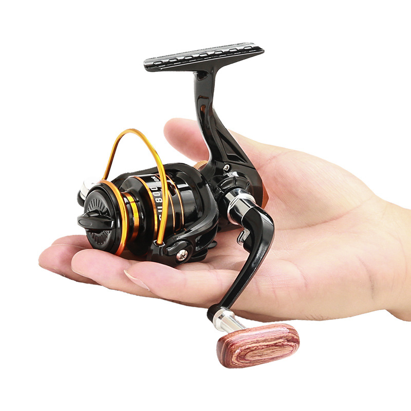 800 Series Small Spinning Fish - Daiwa Reel Bg recension och pris